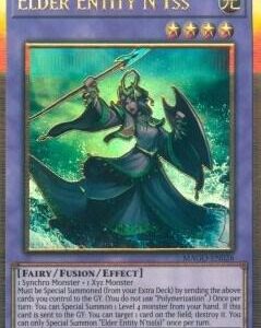 ELDER ENTITY NTSS