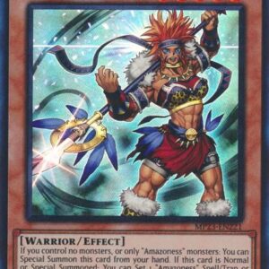 AMAZONESS WAR5 CHIEF
