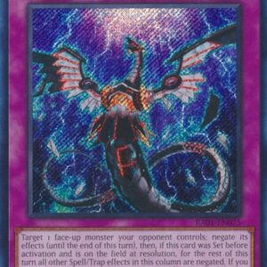 INFINITE IMPERMANENCE