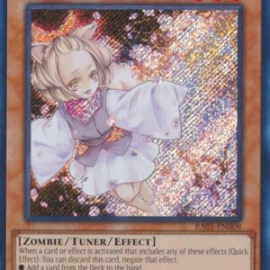 Ash Blossom & Joyous Spring (Secret Rare)