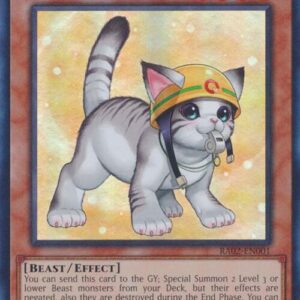 RESCUE CAT ALT ART