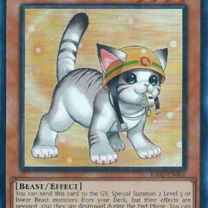 RESCUE CAT ALT ART