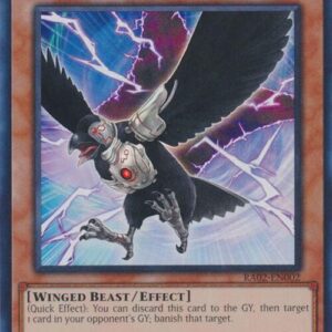 D.D CROW