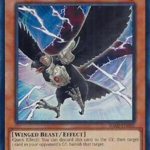D.D CROW