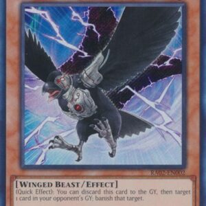 D.D CROW
