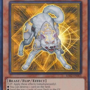 RYKO LIGHTSWORN HUNTER