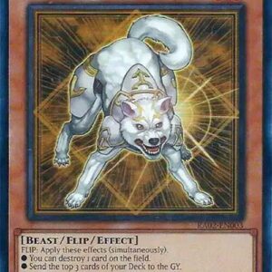 RYKO LIGHTSWORN HUNTER