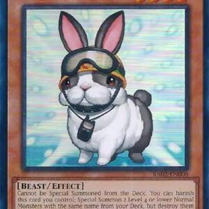 RESCUE RABBIT