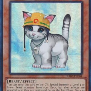 RESCUE CAT