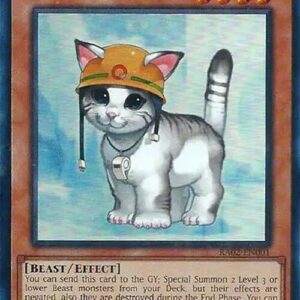 RESCUE CAT