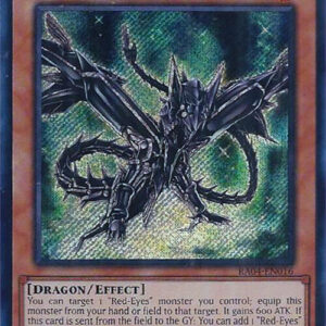 BLACK METAL DRAGON
