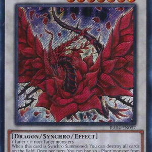 BLACK ROSE DRAGON