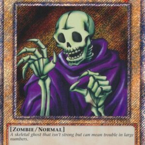 SKULL SERVANT